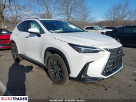 Lexus NX 2024 2 Lexus NX 2024 2