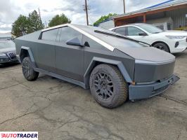 Tesla Pozostałe 2024