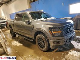 Ford Pozostałe 2024 2