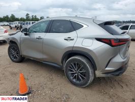 Lexus NX 2023 2