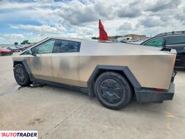 Tesla Pozostałe 2024