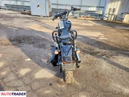 Harley-Davidson Softail 2021