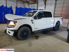 Ford Pozostałe 2024 3