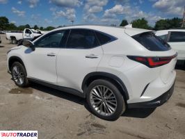 Lexus NX 2022 2