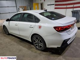 Kia Pozostałe 2019 2