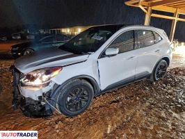 Ford Escape - zobacz ofertę