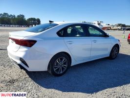 Kia Pozostałe 2024 2