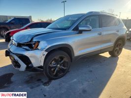 Volkswagen Pozostałe 2025 1