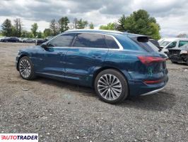 Audi E-tron 2019