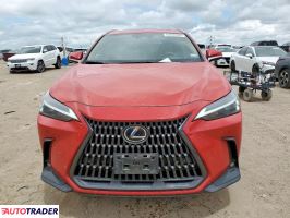 Lexus NX 2022 2 Lexus NX 2022 2
