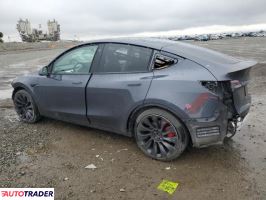 Tesla Model Y 2021 Tesla Model Y 2021