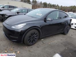 Tesla Model Y 2021 Tesla Model Y 2021