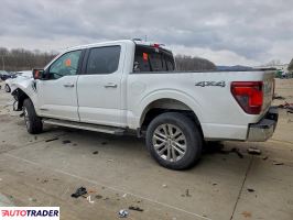 Ford Pozostałe 2024 3