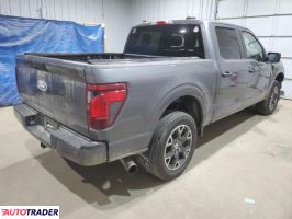 Ford Pozostałe 2024 2