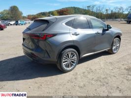 Lexus NX 2025 2