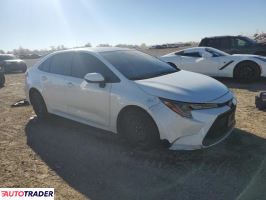 Toyota Corolla 2020 1