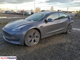 Tesla Model 3 2022