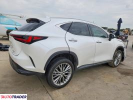 Lexus NX 2023 2
