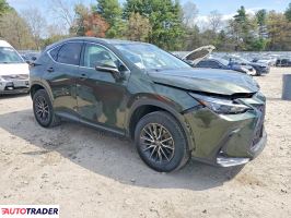 Lexus NX 2024 2