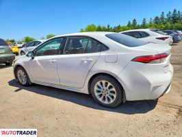 Toyota Corolla 2020 1