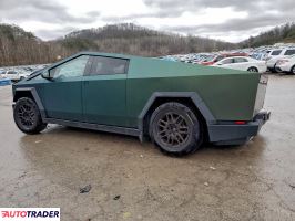 Tesla Pozostałe 2024