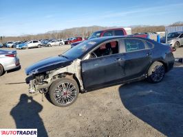 Kia Pozostałe 2024 1