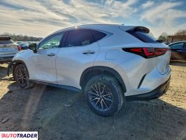 Lexus NX 2024 2