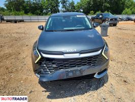 Kia Sportage 2024 2
