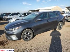 Kia Pozostałe 2024 2