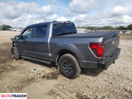 Ford Pozostałe 2024 5