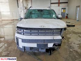 Hyundai Santa Fe 2024 2