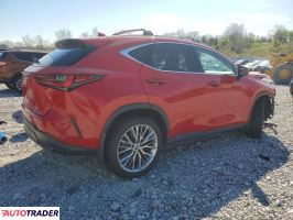 Lexus NX 2025 2