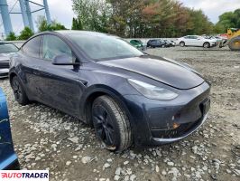 Tesla Model Y 2025