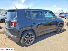 Jeep Renegade 2020 2