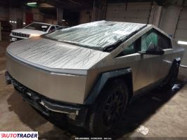 Tesla Pozostałe 2024