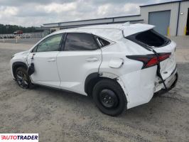 Lexus NX 2021 2 Lexus NX 2021 2
