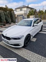 BMW 530 2018 2.0 252 KM