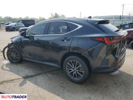 Lexus NX 2025 2 Lexus NX 2025 2