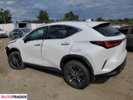 Lexus NX 2024 2