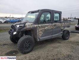 Polaris Pozostałe 2024