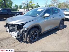 Lexus NX 2023 2