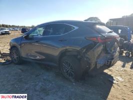 Lexus NX 2024 2