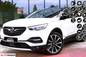 Opel Grandland X - zobacz ofertę