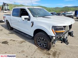 Ford Pozostałe 2024 3