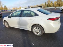 Toyota Corolla 2024 1