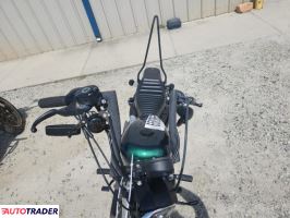 Harley-Davidson Pozostałe 2021 Harley-Davidson Pozostałe 2021