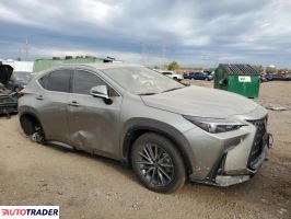 Lexus NX 2025 2