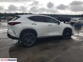 Lexus NX 2024 2