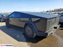 Tesla Pozostałe 2025