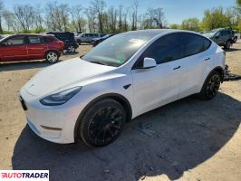 Tesla Model Y 2021